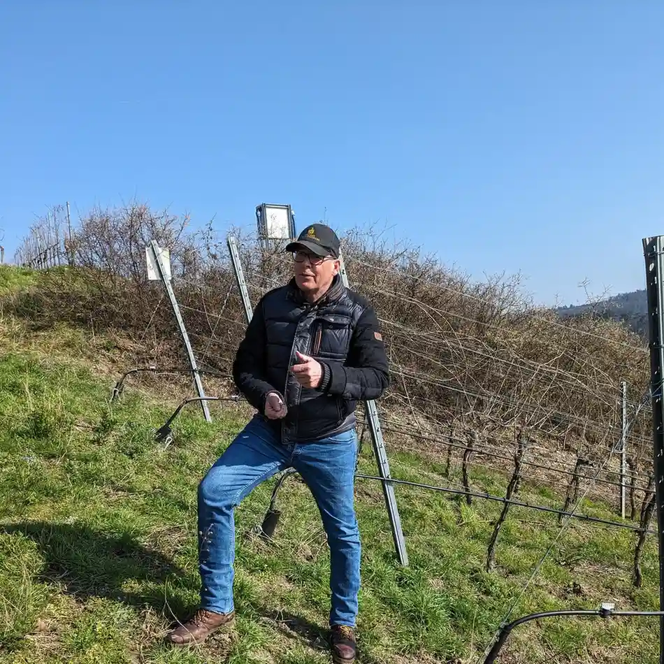 Weingut Burg Ravensburg