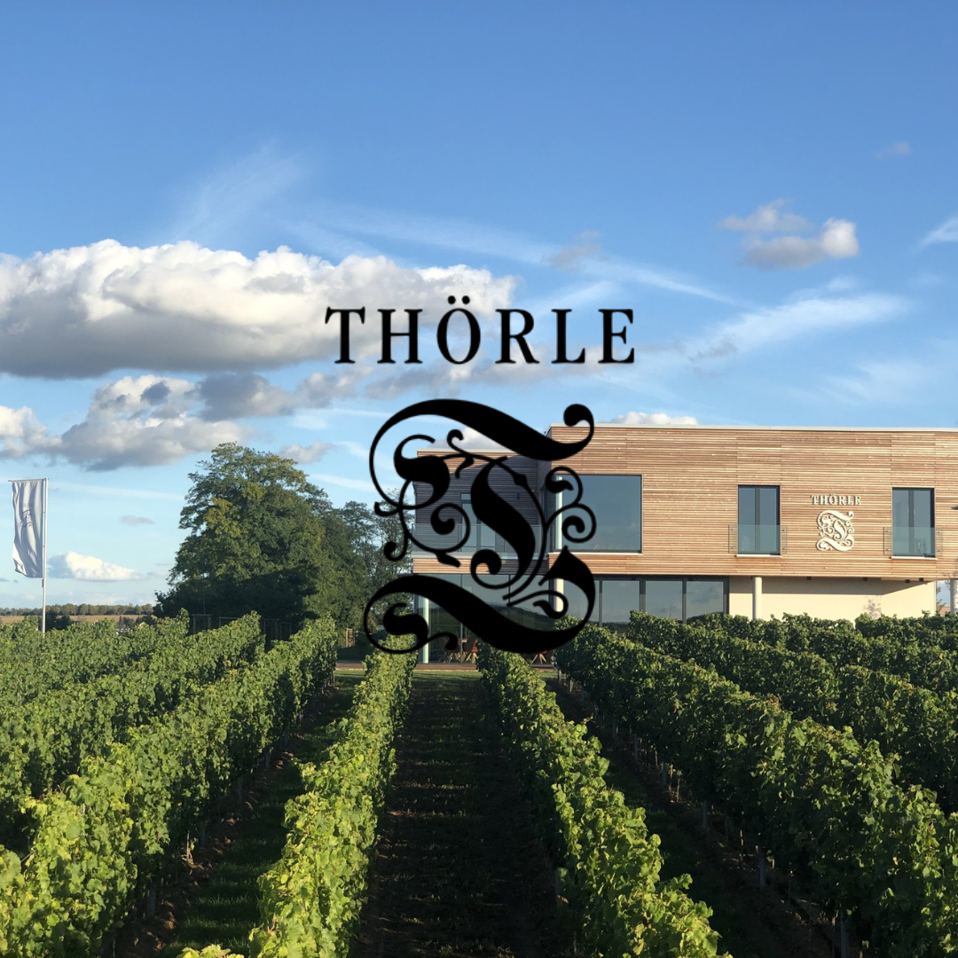 Weingut Thörle, in Saulheim, Rheinhessen